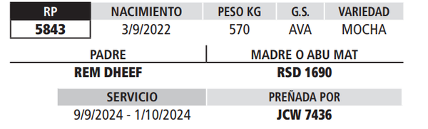 Lote LOTE 19
