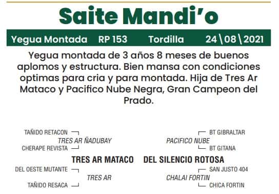 Lote LOTE 4