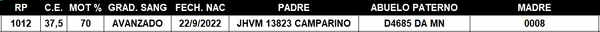 Lote LOTE 54