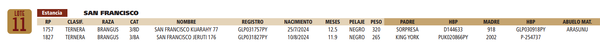 Lote LOTE 11