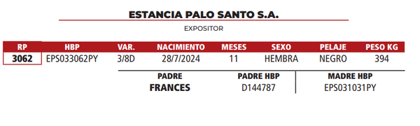 Lote LOTE 17