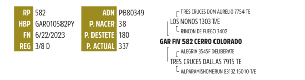 Lote LOTE 18