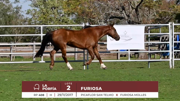 Lote FURIOSA