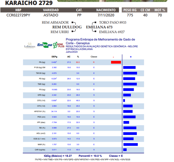 Lote LOTE 83