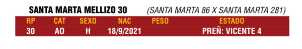 Lote LOTE 26