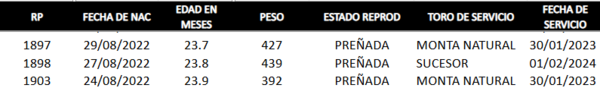 Lote LOTE 32