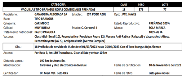 Lote LOTE 77