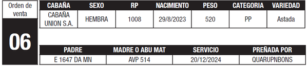 Lote LOTE 6