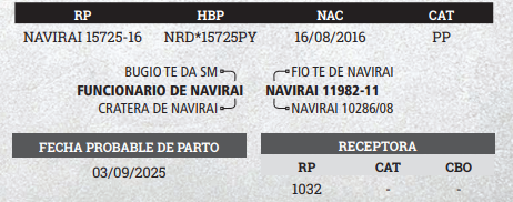 Lote LOTE 4 - PREÑECES