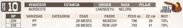 Lote LOTE 10 - EN VIVO