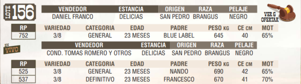 Lote LOTE 156 - EN VIVO