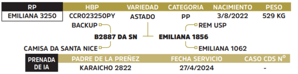 Lote LOTE 54