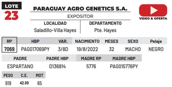 Lote LOTE 23