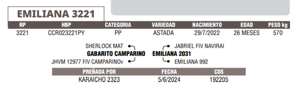 Lote LOTE 53