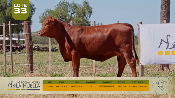 Lote LOTE 33