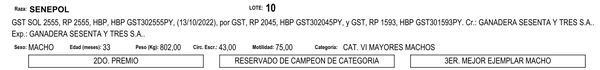 Lote LOTE 10