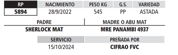 Lote LOTE 5