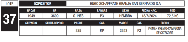 Lote LOTE 37
