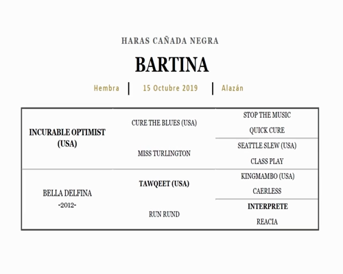 Lote BARTINA (INCURABLE OPTIMIST - BELLA DELFINA)