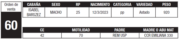Lote LOTE 60