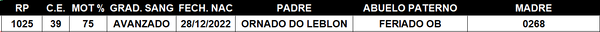 Lote LOTE 1