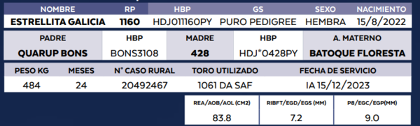 Lote LOTE 41