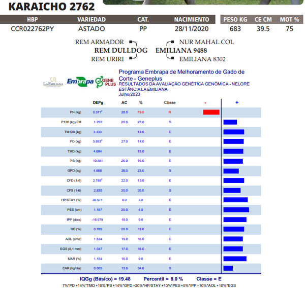 Lote LOTE 10