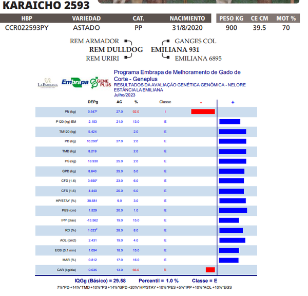 Lote LOTE 70