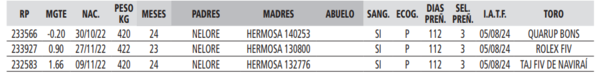 Lote LOTE 11