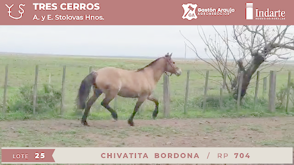 Lote CHIVATITA BORDONA