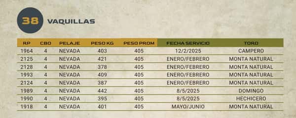 Lote LOTE 38