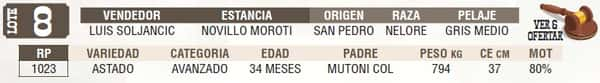 Lote LOTE 8 - EN VIVO