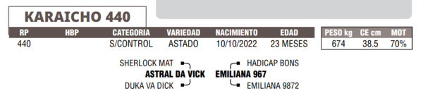 Lote LOTE 31