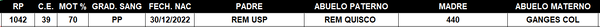 Lote LOTE 55