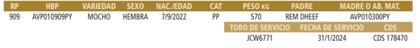 Lote LOTE 24