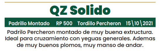 Lote LOTE 20