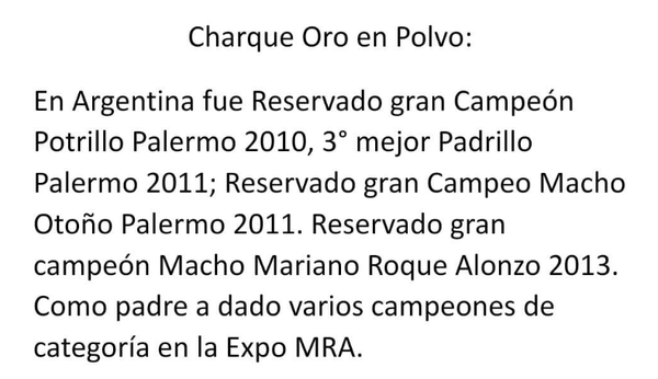Lote CRIOLLOS - DONACION DE SEMEN  A BENEFICIO DE LA A.C.C.C.P EXPO INTERNACIONAL 2022  - LOTE 106