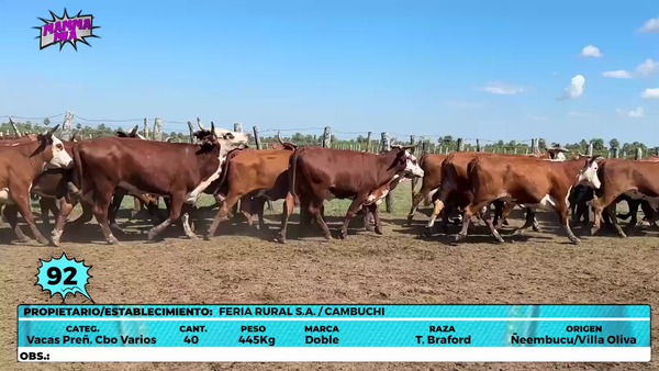 Lote LOTE 92