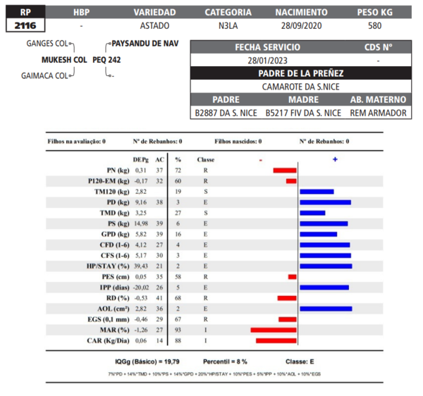 Lote LOTE 26