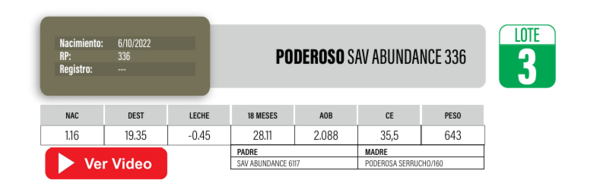 Lote Toros Angus a remate en Cabaña La Poderosa, Florida