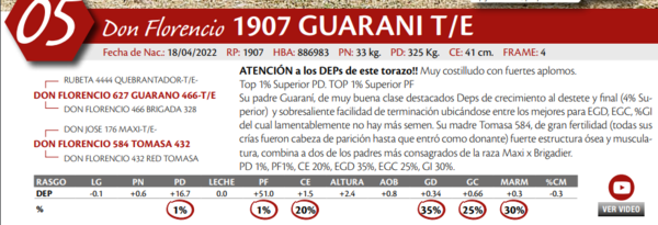 Lote MACHO PP