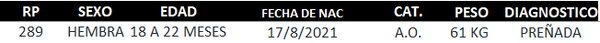 Lote LOTE 11 - SAN ERNESTO - RP 289