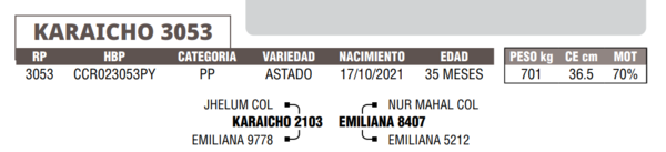 Lote LOTE 10