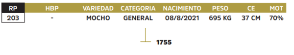 Lote LOTE 78