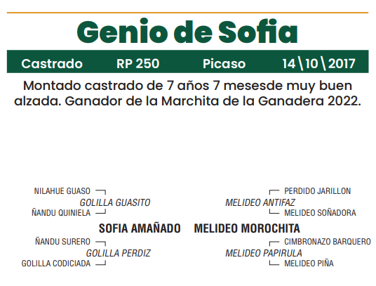 Lote LOTE 27