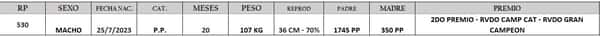 Lote LOTE 26