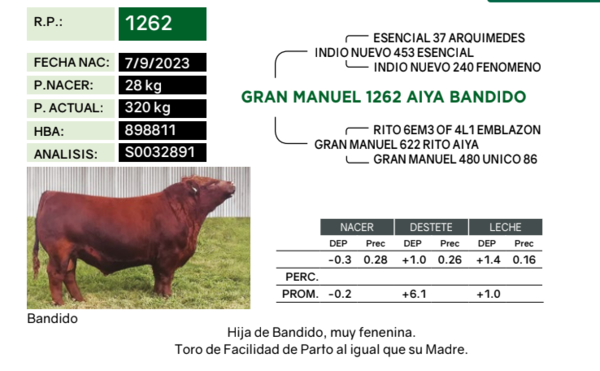 Lote Terneras PP