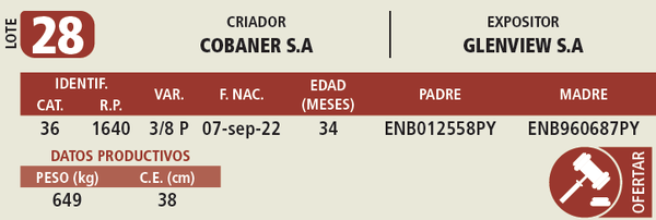 Lote LOTE 28