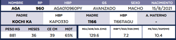 Lote LOTE 77