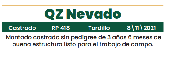 Lote LOTE 25